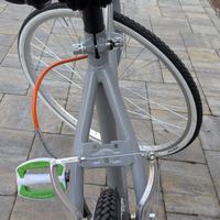 bici adulto trend
