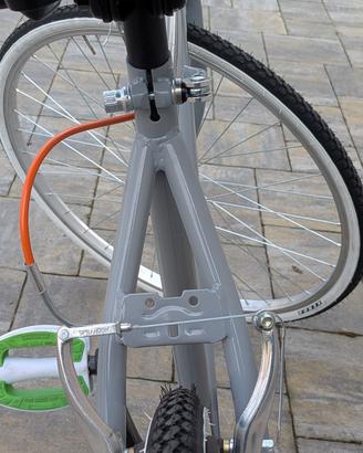 bici adulto trend