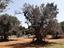 Immagine 26