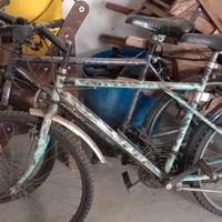 Biciclette e accessori