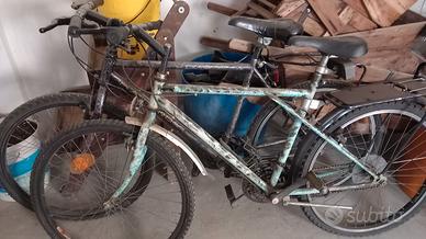 Biciclette e accessori