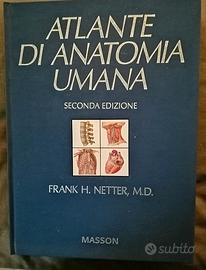 NETTER - ATLANTE DI ANATOMIA UMANA
