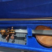 Violino