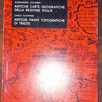 Carte e piante geografiche della Giulia e di Tries