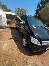 Mercedes Viano 