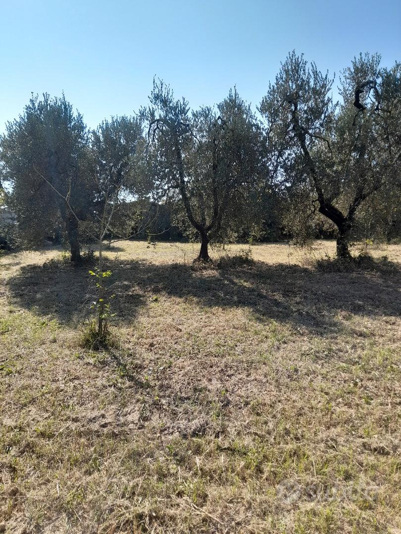 Terreno a vada - Vista 5
