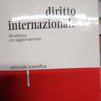 Diritto Internazionale 
