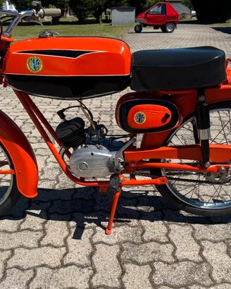 Beta 50 cc