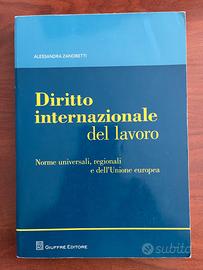 DIRITTO INTERNAZIONALE DEL LAVORO