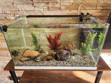aquario 60x35xh43 60l 