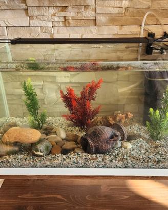 aquario 60x35xh43 60l 