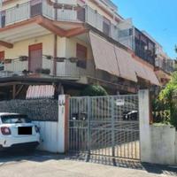 RGE 24/2025 Trib Barcellona PG