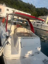 Barca natante Chaparral 270 signature