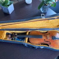 Violino intero