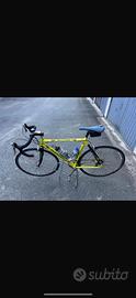 Bicicletta  PENNAROLA SMERALDO