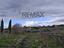 Immagine 7