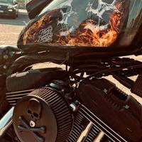 Harley-Davidson Sportster XL 1200R Roadster 2006