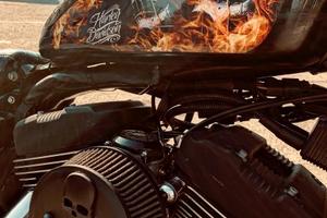 Harley-Davidson Sportster XL 1200R Roadster 2006