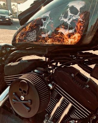 Harley-Davidson Sportster XL 1200R Roadster 2006