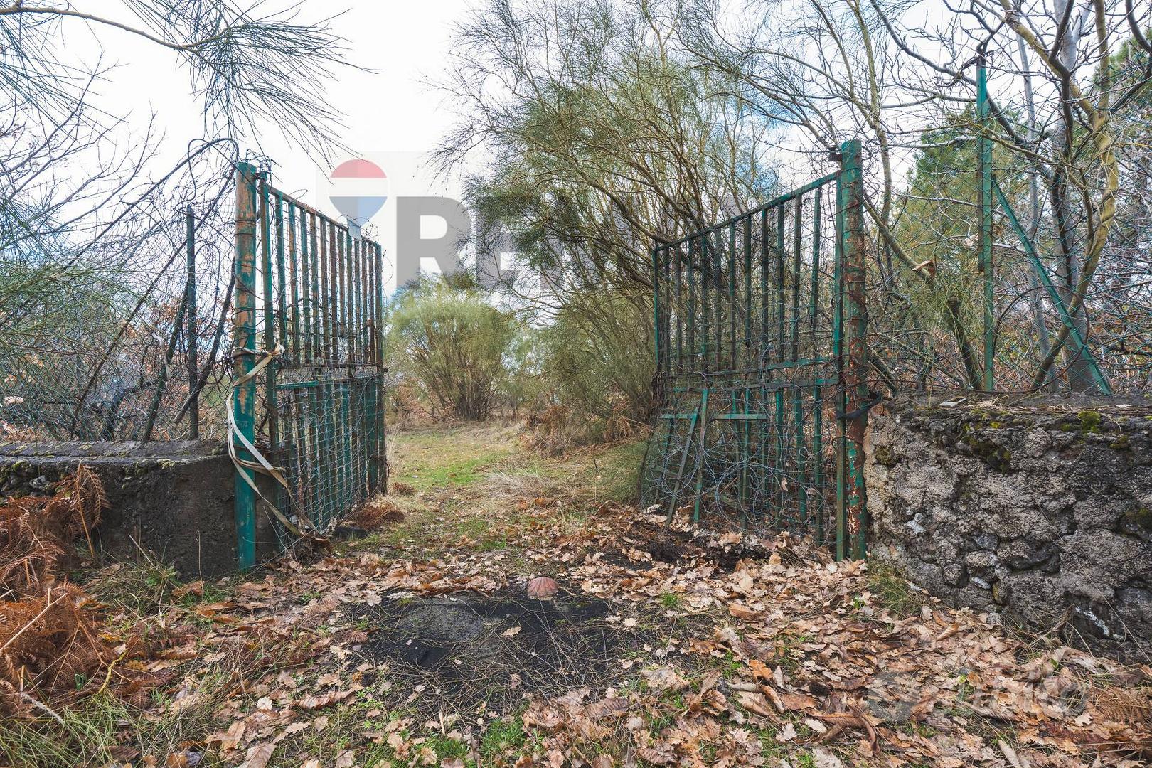 Terreno - Biancavilla - Vista 2