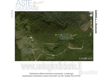 Terreno Agricolo Bibbona [A4163810]