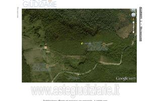Terreno Agricolo Bibbona [A4163810]