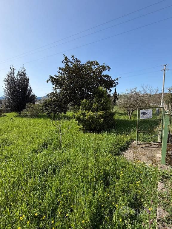 Terreno di 1000 m² a Sabaudia - Altro