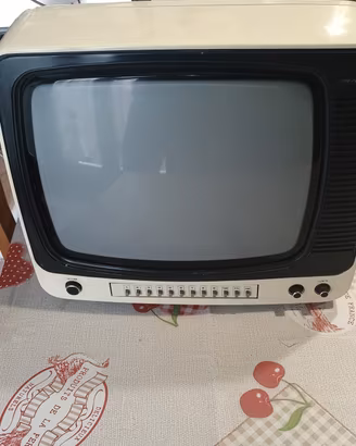 TV bianco e nero vintage 14 pollici 