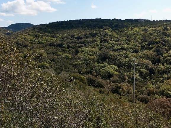 Panoramico Terreno di oltre 4 ettari a Logulentu