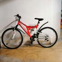 bici mountainbike