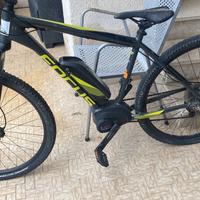 FOCUS JARIFA  POCHISSIMI KM