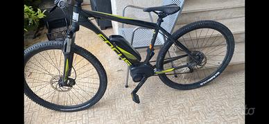 FOCUS JARIFA  POCHISSIMI KM