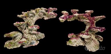 Rocciata Poseidon Art Rock