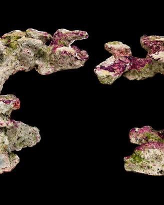 Rocciata Poseidon Art Rock