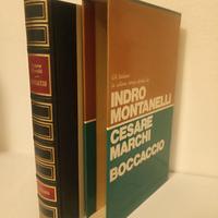 libri di narrativa montanelli