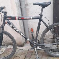 mtb uomo 26 pollici