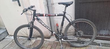 mtb uomo 26 pollici