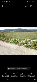 Terreno agricolo
