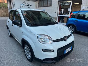 Fiat Panda Pandina 1.0 Hybrid Icon 03/25 KM.17931 