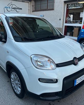 Fiat Panda Pandina 1.0 Hybrid Icon 03/25 KM.17931 