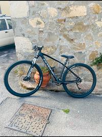 MTB Olympia Drake 29”