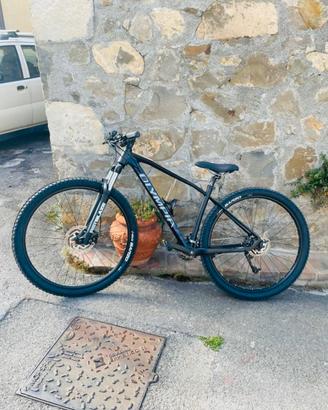 MTB Olympia Drake 29”