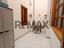 Immagine 23