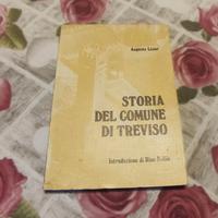 Libri Storia Treviso Lizier - Anselmi