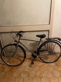 Bicicletta da passeggio