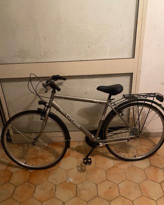 Bicicletta da passeggio