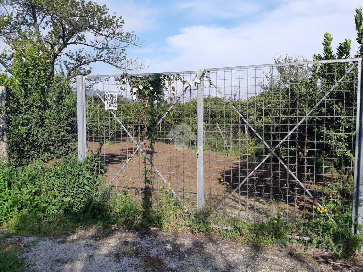 TER. AGRICOLO A NOCERA INFERIORE - Vista 4