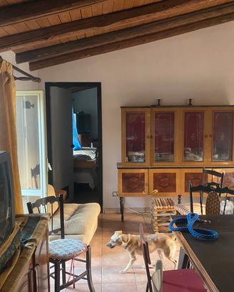 Terreno con fabbricato