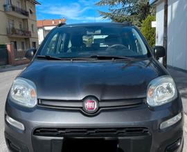 FIAT Panda 3ª serie - 2017