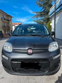 FIAT Panda 3ª serie - 2017